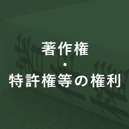 著作権・特許権等の権利